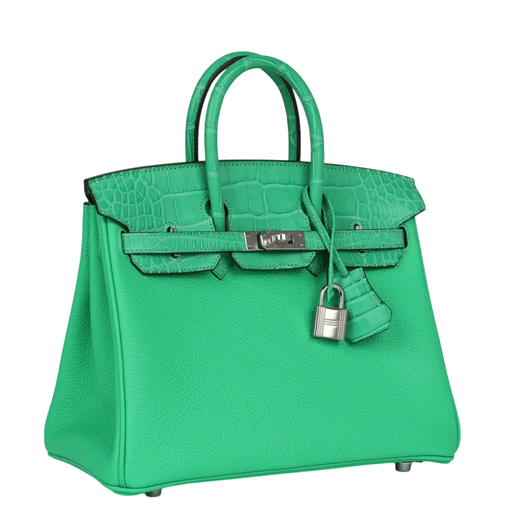 Hermès Birkin 25 Vert Comics Togo and Matte Alligator Touch Palladium Hardware