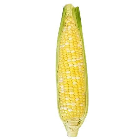 https://static.unbox.gg/case-items/optSweet%20Corn%20on%20the%20Cob.webp