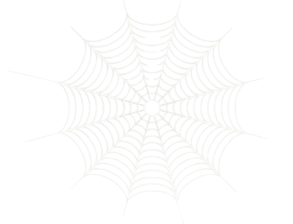 https://static.unbox.gg/case-items/spider_web.webp