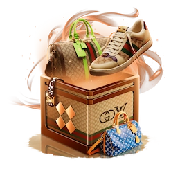 Case