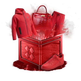 Case