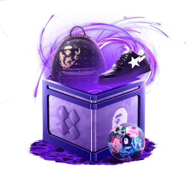 Case