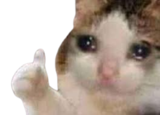 :catthumbsupsad