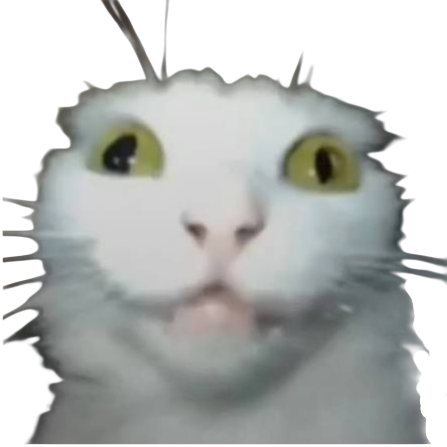 :crazykitty
