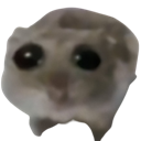 :hamstersad