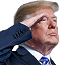 :trumpsalute