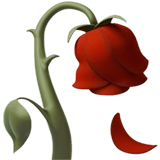 :wiltedflower